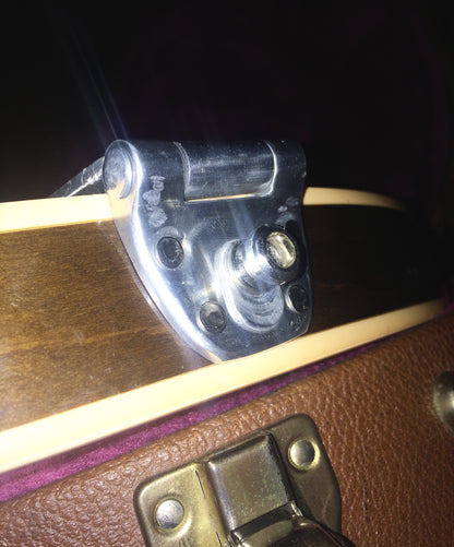 Gibson ES-335 with BIGSBY B6 Hinge Plate Adaptor